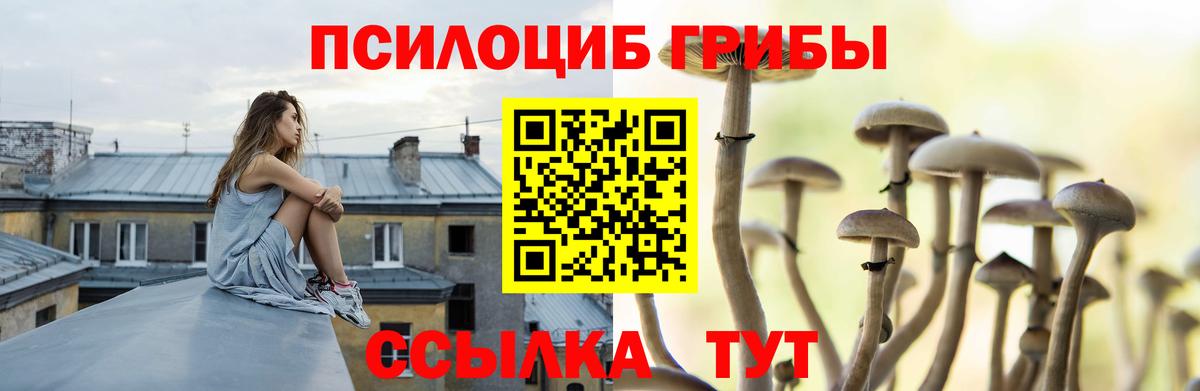 Галлюциногенные грибы Psilocybe Ликино-Дулёво